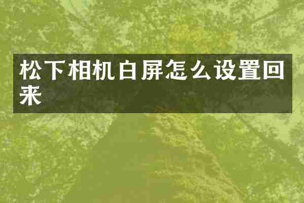 相机白屏怎么设置回来