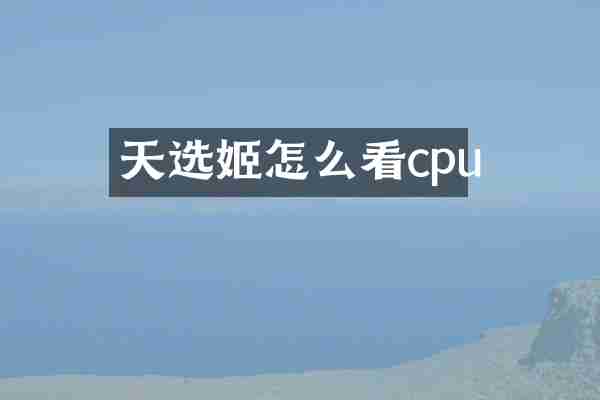 天选姬怎么看cpu