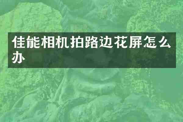 佳能相机拍路边花屏怎么办