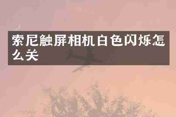 索尼触屏相机白色闪烁怎么关