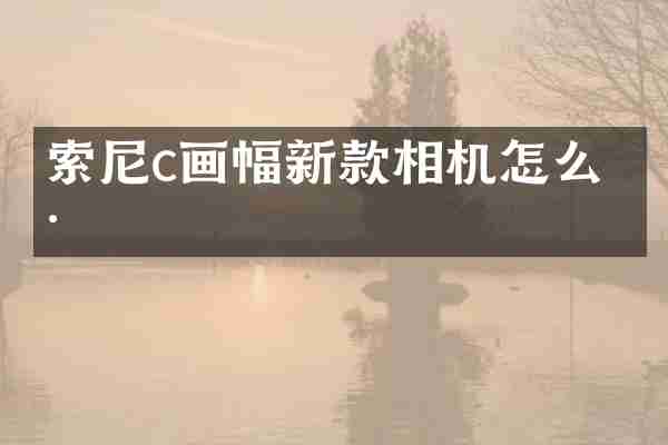 索尼c画幅新款相机怎么样
