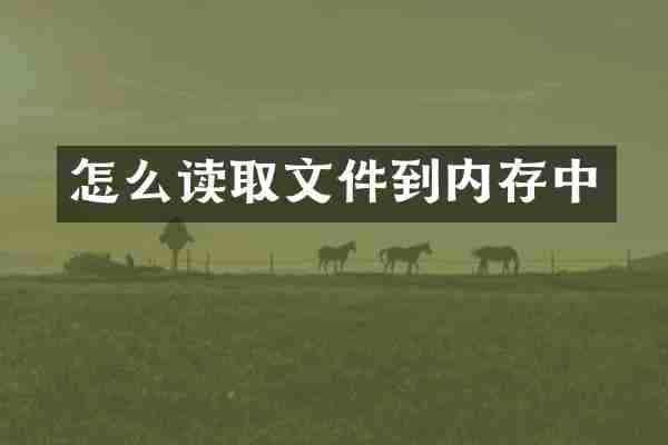 怎么读取文件到内存中