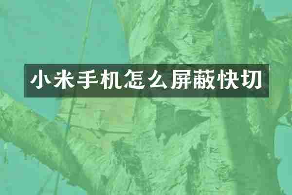 小米手机怎么屏蔽快切