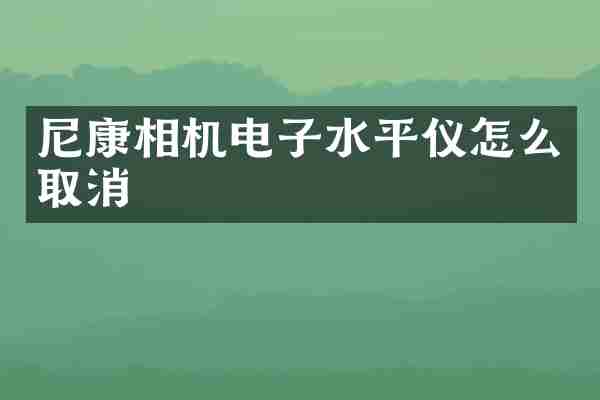 尼康相机电子水平仪怎么取消