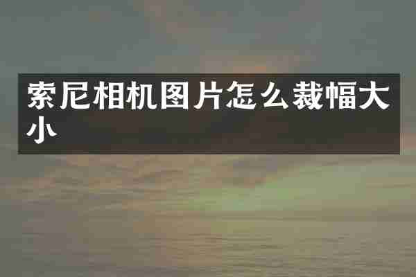 索尼相机图片怎么裁幅大小