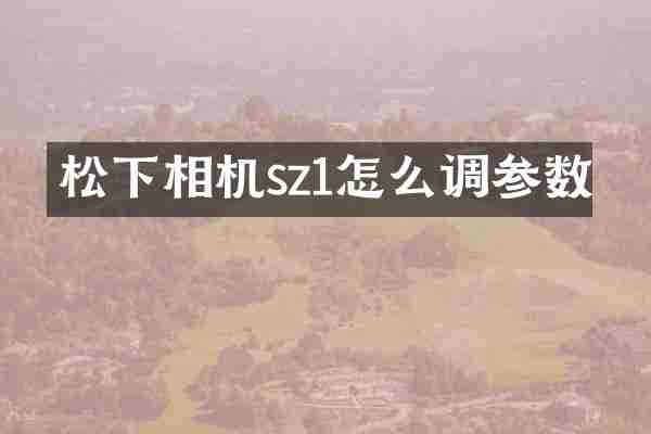 松下相机sz1怎么调参数