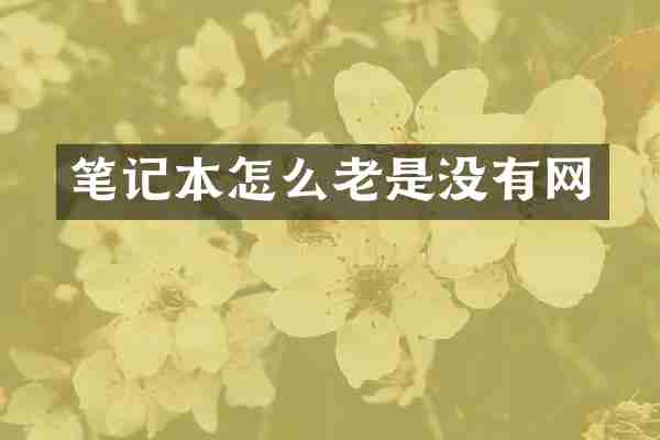 笔记本怎么老是没有网
