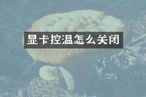 显卡控温怎么关闭
