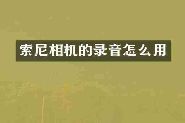 索尼相机的录音怎么用