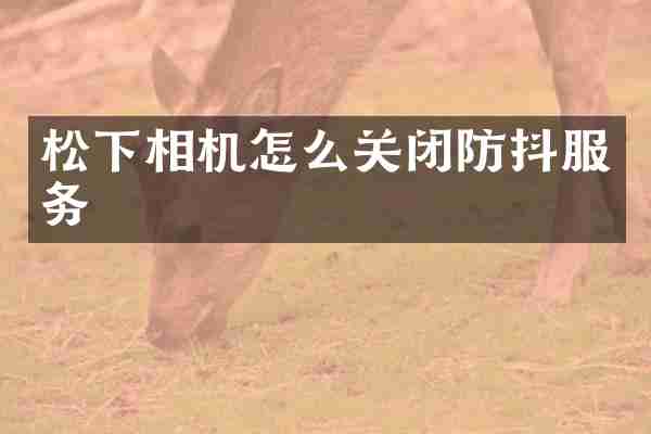 松下相机怎么关闭防抖服务