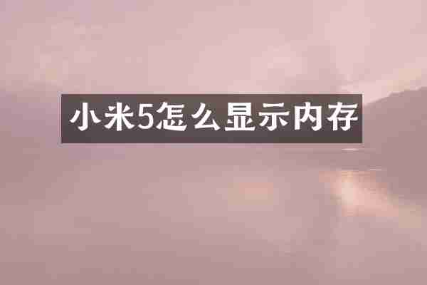 小米5怎么显示内存