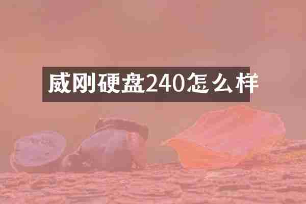 威刚硬盘240怎么样