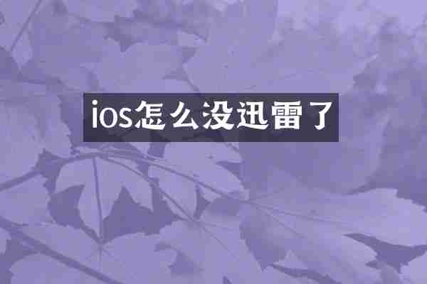 ios怎么没迅雷了