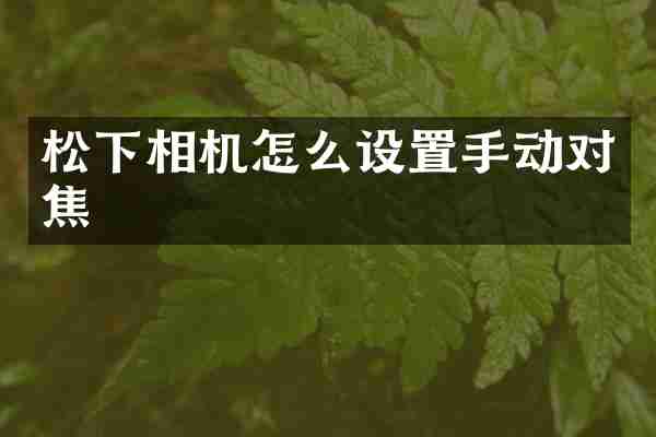 松下相机怎么设置手动对焦