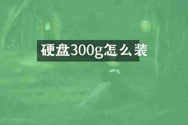 硬盘300g怎么装