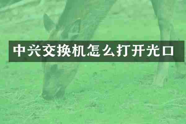 中兴交换机怎么打开光口