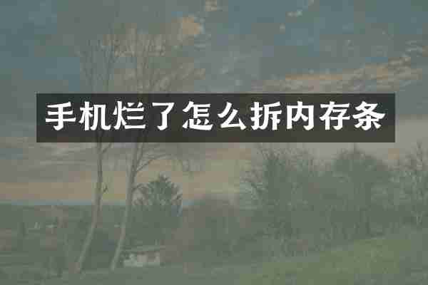 手机烂了怎么拆内存条