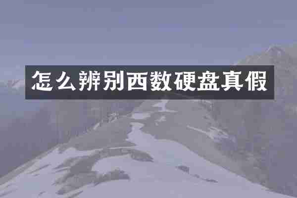 怎么辨别西数硬盘真假