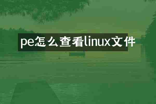 pe怎么查看linux文件