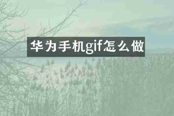 华为手机gif怎么做