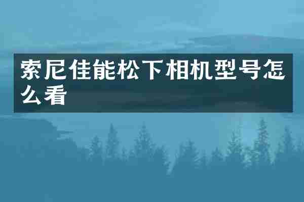 索尼佳能松下相机型号怎么看