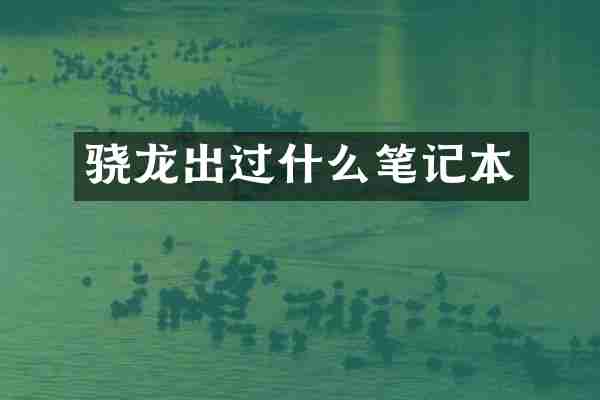 骁龙出过什么笔记本