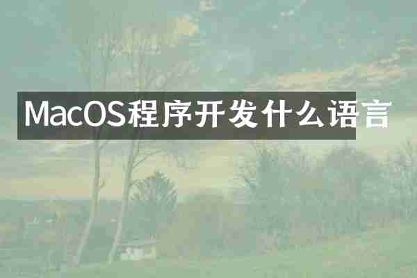 MacOS程序开发什么语言