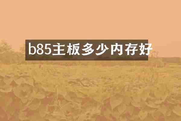 b85主板多少内存好