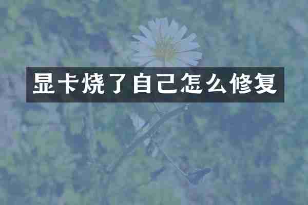 显卡烧了自己怎么修复