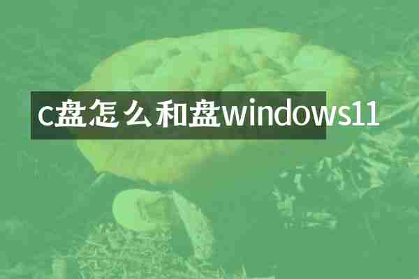 c盘怎么和盘windows11