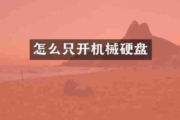 怎么只开机械硬盘