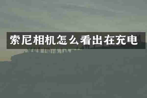 索尼相机怎么看出在充电