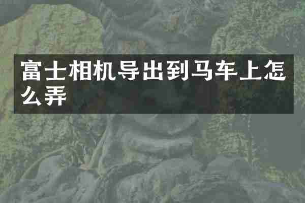 富士相机导出到马车上怎么弄