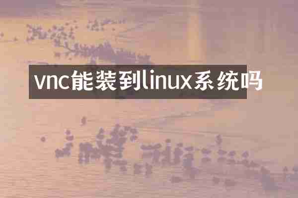 vnc能装到linux系统吗