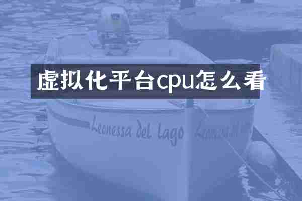 虚拟化平台cpu怎么看
