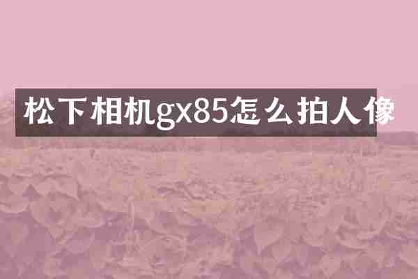 松下相机gx85怎么拍人像