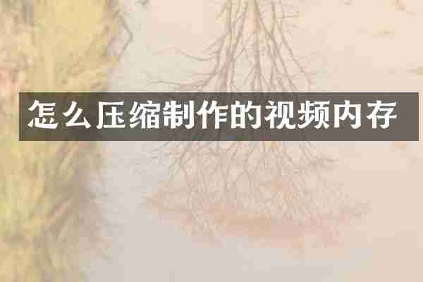 怎么压缩制作的视频内存
