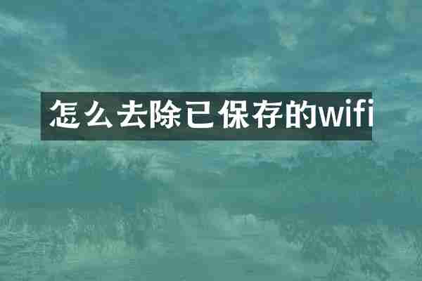 怎么去除已保存的wifi