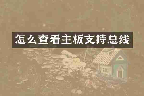 怎么查看主板支持总线