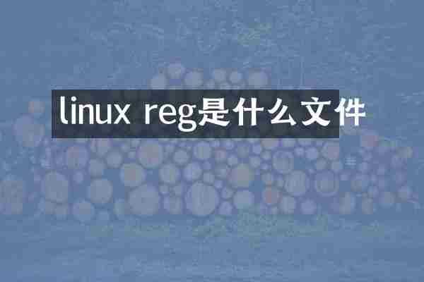 linux reg是什么文件