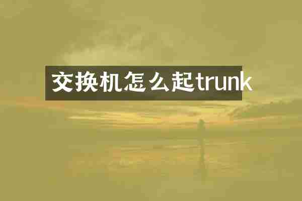 交换机怎么起trunk