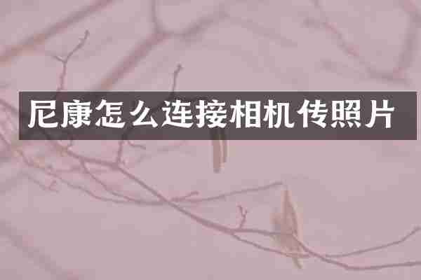 尼康怎么连接相机传照片