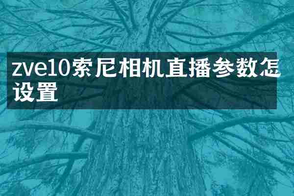 zve10索尼相机直播参数怎么设置