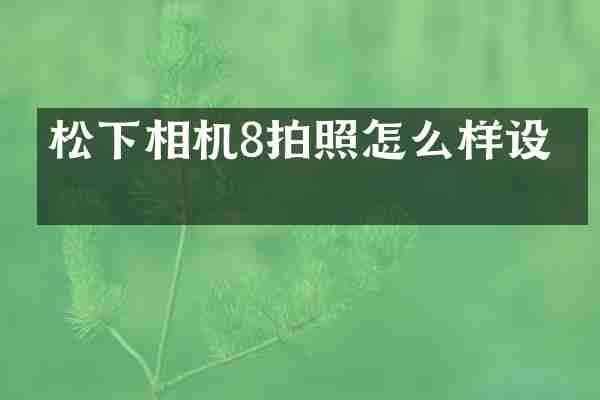 松下相机8拍照怎么样设置