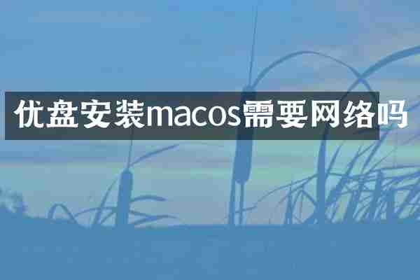 优盘安装macos需要网络吗