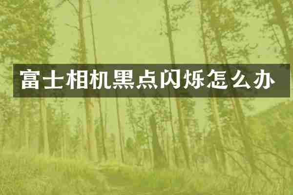 富士相机黑点闪烁怎么办