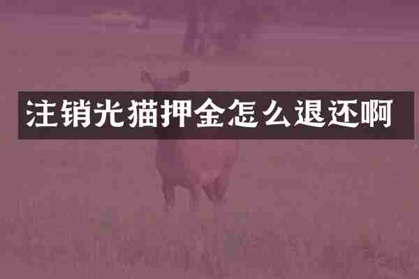注销光猫押金怎么退还啊