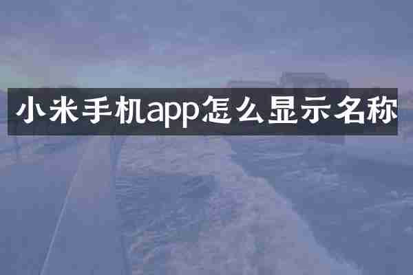 小米手机app怎么显示名称