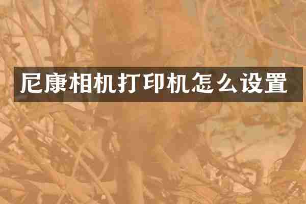 尼康相机打印机怎么设置