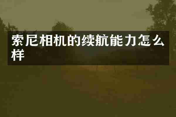 索尼相机的续航能力怎么样